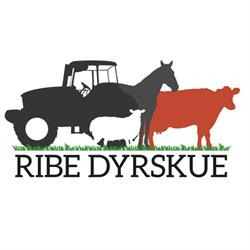 Ribe Dyrskue