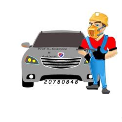 Prof autoservice og antirust