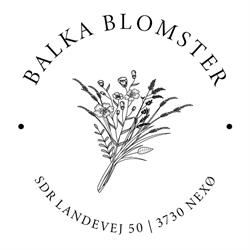 Balka Blomster