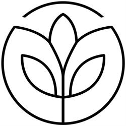 Skanfeld