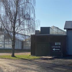 Schroll Flowers' Gårdbutik