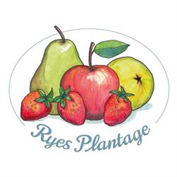 Ryes Plantage