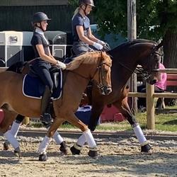 Boegekilde Equestrian