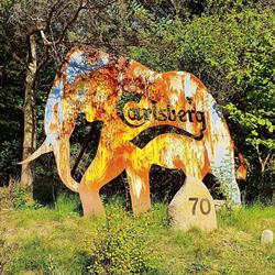 The Rusty Elephant Farm & Bakery