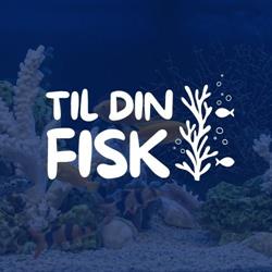 Tildinfisk.dk