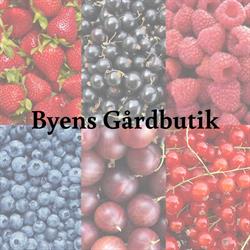Byens Gårdbutik