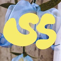 Stilk Studio