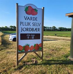 Varde Pluk Selv Jordbær
