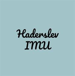 Haderslev IMU