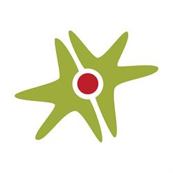 CISU - Civilsamfund i Udvikling