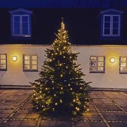 Vibekærgaard Juletræer - Fæld selv