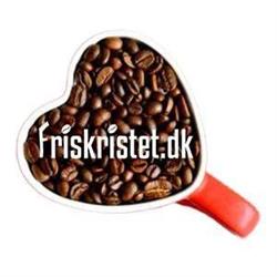 Friskristet.dk