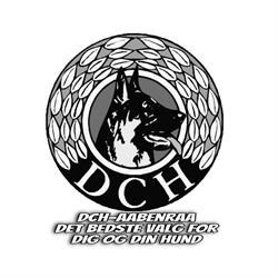 DcH Aabenraa