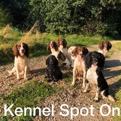 Kennel Spot On