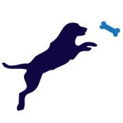 HundeGodbid & Hundetræning