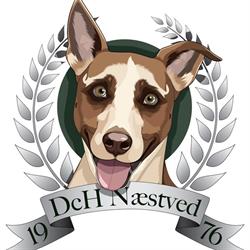 DCH Næstved