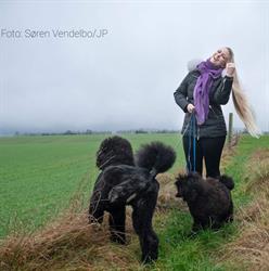 Sorring Hundesalon