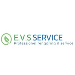 E.v.s Service