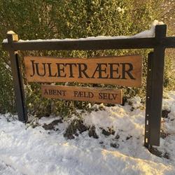 Møllestedet Juletræer