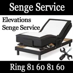 Senge Service
