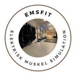 EMSfit