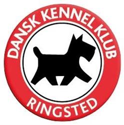 DKK Hundeaktivitetscenter Ringsted