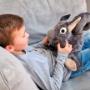 Sansebamse Eric