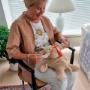 Sansebamse Rita
