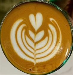 Café Skjalms Have