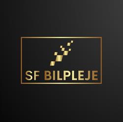 SF bilpleje