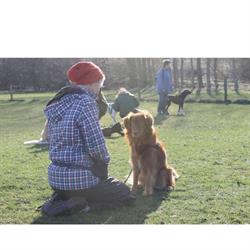 Nordjysk Hundetræning