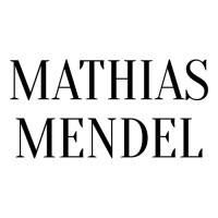 Ejendomsmægler Mathias Mendel - Slagelse