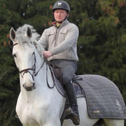 AB Horses