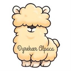 Dyrekær Alpaca