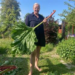 HJERTEGRÆS Stavtrup Privat pasningsordning
