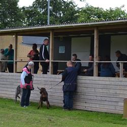 Odense Sportshunde Klub