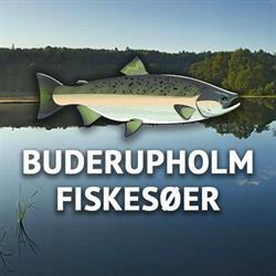 Buderupholm Fiskesøer