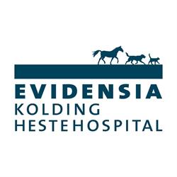 Evidensia Kolding Hestehospital