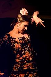 CPH Flamenco Academy