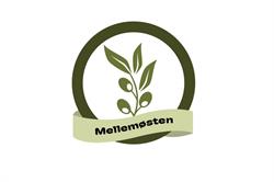 Mellemøsten