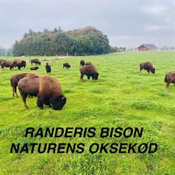 Randeris Bison