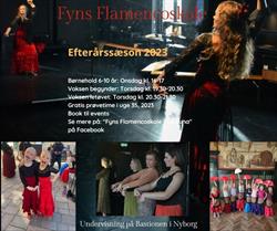 Fyns Flamencoskole - La Luna