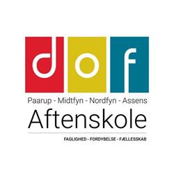Den Ny Kunstskole