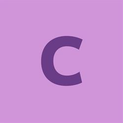 Christian Estrup Management ApS