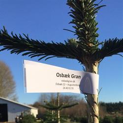 Osbæk Gran