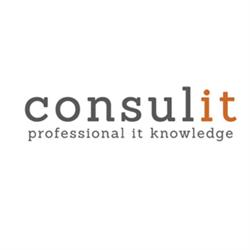 Consulit
