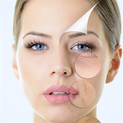Ocean beauty clinic
