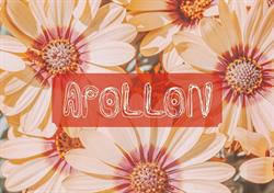 Apollon Aarhus