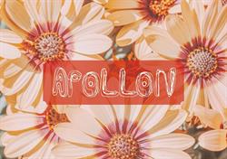 Apollon Aarhus