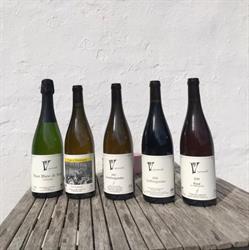 Østerled Vinbar